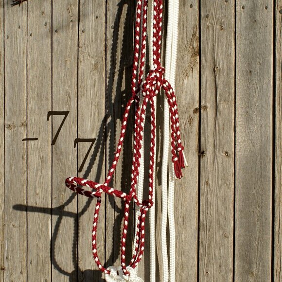 Handmade Braided Paracord Horse Loping Halter Hackamore - Yacht Rope Split Reins - Picture 2 of 9